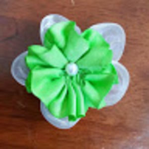 Meet your Posher, Vanessa